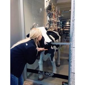 Meet your Posher, Lauren